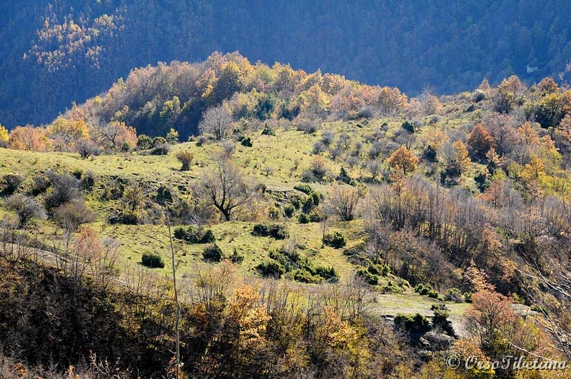 20111127-121909.jpg - La piana di Monte Cavallo.  -  The plain of Monte Cavallo. 